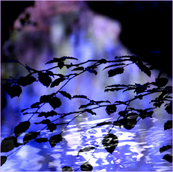 Blue leaf waters-bright 24x24.tif